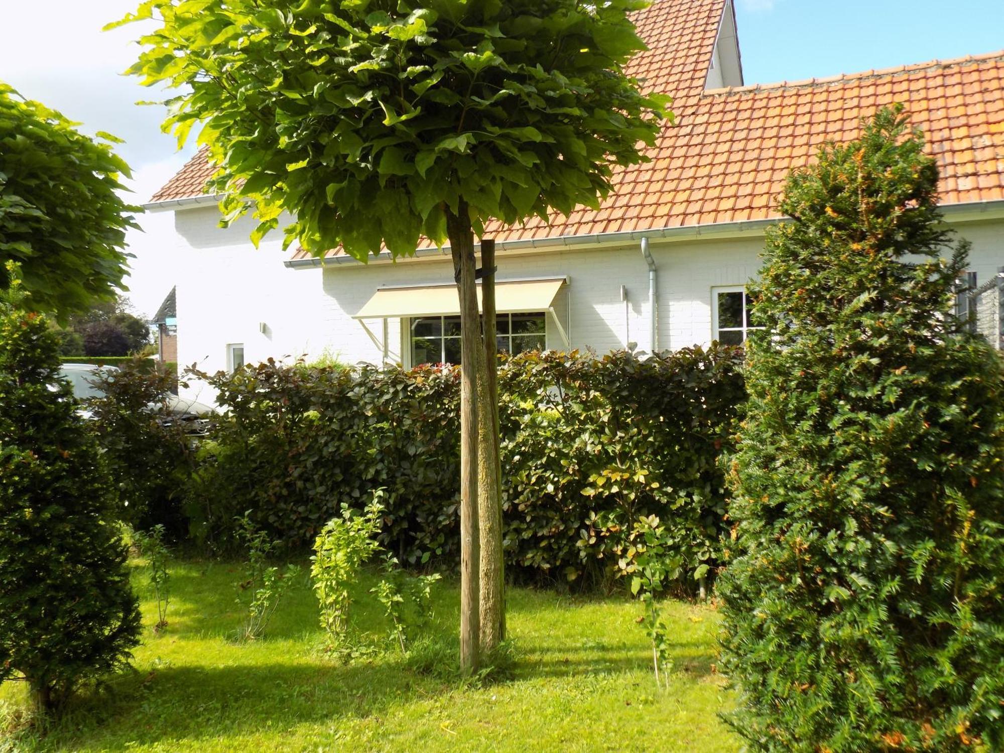 Villa Mooi Maasland Maaseik Exterior foto